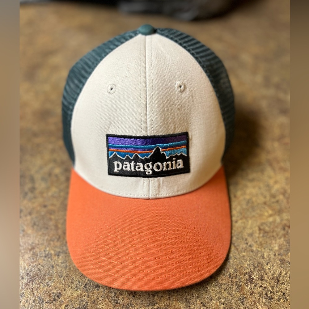 Patagonia Trucker hat